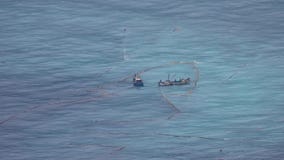 Traineiras da pesca na água do mar aberta com redes de pesca em Taiwan Silhueta do homem de neg?cio Cowering vídeos de arquivo Traineiras da pesca na água do mar aberta com redes de pesca em Taiwan Silhueta do homem de neg?cio Cowering vídeos de arquivo