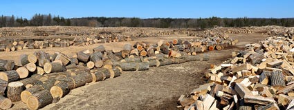 Traitement des rondins de bois dur pour le bois de chauffage une journée de printemps ensoleillée image stock Traitement des rondins de bois dur pour le bois de chauffage une journée de printemps ensoleillée image stock
