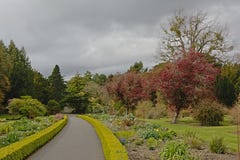 Trajeto atrav?s dos jardins bot?nicos de Dublin na mola fotos de stock Trajeto atrav?s dos jardins bot?nicos de Dublin na mola fotos de stock