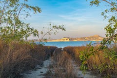 Trajeto cercado pela vegetação que conduz ao lago imagem de stock Trajeto cercado pela vegetação que conduz ao lago imagem de stock