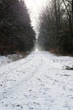 Trajeto em uma floresta do inverno imagem de stock royalty free Trajeto em uma floresta do inverno imagem de stock royalty free