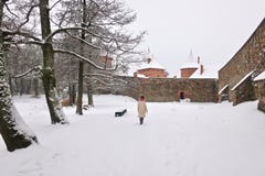 Trakai-Schloss in Litauen im Winter stockbilder Trakai-Schloss in Litauen im Winter stockbilder