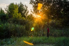 Tramonto attraverso gli alberi immagine stock libera da diritti Tramonto attraverso gli alberi immagine stock libera da diritti