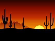 Tramonto. Deserto. Cactus. illustrazione vettoriale Tramonto. Deserto. Cactus. illustrazione vettoriale