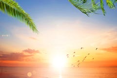 Tramonto di Art Beautiful sopra la spiaggia tropicale fotografia stock Tramonto di Art Beautiful sopra la spiaggia tropicale fotografia stock