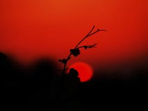 Tramonto rosso immagine stock libera da diritti Tramonto rosso immagine stock libera da diritti