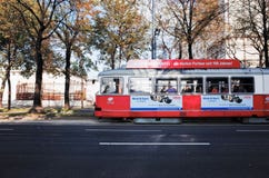 Trams VIENNA, AUSTRIA royalty free stock images Trams VIENNA, AUSTRIA royalty free stock images