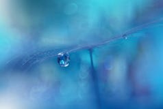 Tranquil Closeup Blue Background.Abstract Macro,water Drops.Art Photography.Beautiful Nature Wallpaper.Colorful.Natural,purity. Stock Photography