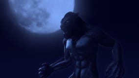 Transformación del hombre lobo Transformación del hombre lobo