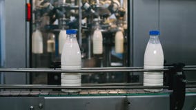 Transportbandlijn voor het gieten van zuivelproducten in plastic flessen bij een melkfabriek in resolutie volledig-HD in slowmoti stock videobeelden Transportbandlijn voor het gieten van zuivelproducten in plastic flessen bij een melkfabriek in resolutie volledig-HD in slowmoti stock videobeelden