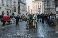 Transporte com cavalos e motorista em clientes de espera de Viena fotografia de stock Transporte com cavalos e motorista em clientes de espera de Viena fotografia de stock