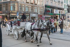 Transporte com cavalos, motorista e turistas em Viena em uma excurs?o sightseeing em torno da cidade imagem de stock Transporte com cavalos, motorista e turistas em Viena em uma excurs?o sightseeing em torno da cidade imagem de stock