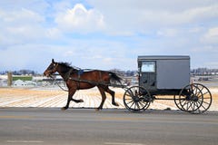Transporte de Amish no inverno foto de stock royalty free Transporte de Amish no inverno foto de stock royalty free