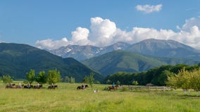 TRANSYLVANIA REGION, ROMANIA - 6 JUNE, 2017: A mountain view i with some horses and riders in a picturesque area. royalty free stock photos TRANSYLVANIA REGION, ROMANIA - 6 JUNE, 2017: A mountain view i with some horses and riders in a picturesque area. royalty free stock photos