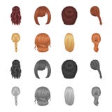 Trança clara, cauda dos peixes e outros tipos de penteados Ícones ajustados da coleção do penteado traseiro nos desenhos animados Foto de Stock Trança clara, cauda dos peixes e outros tipos de penteados Ícones ajustados da coleção do penteado traseiro nos desenhos animados Foto de Stock