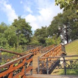 Trap in het park De herfstpark stock foto Trap in het park De herfstpark stock foto