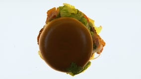 Trasformare hamburger con illuminazione, controllo di qualità degli alimenti industriali, data di scadenza stock footage Trasformare hamburger con illuminazione, controllo di qualità degli alimenti industriali, data di scadenza stock footage