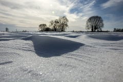 Trações brilhantes da neve no sol imagem de stock Trações brilhantes da neve no sol imagem de stock