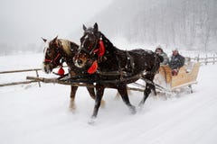 Traîneau tiré par cheval Images libres de droits Traîneau tiré par cheval Images libres de droits