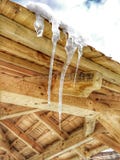 Tre ghiaccioli che si fondono sul tetto con goccia di caduta dell'acqua immagine stock Tre ghiaccioli che si fondono sul tetto con goccia di caduta dell'acqua immagine stock