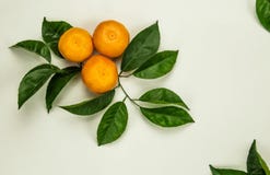 Tre mandarini, mandarini, clementine, agrumi immagine stock Tre mandarini, mandarini, clementine, agrumi immagine stock