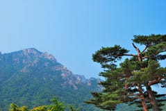 Treacherous Mountain Cliffs Stock Images Treacherous Mountain Cliffs Stock Images