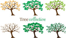 Tree Collection Vector isolated on white background, Set with six trees in different weather seasons. Label, logo, symbol stock illustration Tree Collection Vector isolated on white background, Set with six trees in different weather seasons. Label, logo, symbol stock illustration