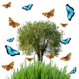 Tree, Grass And Butterflies Stock Image