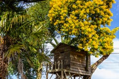 Tree house for kids in the garden. royalty free stock photography Tree house for kids in the garden. royalty free stock photography
