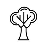 Tree icon vector isolated on white background, Tree sign , line stock illustration Tree icon vector isolated on white background, Tree sign , line stock illustration