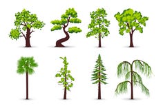 Tree Icons Royalty Free Stock Image Tree Icons Royalty Free Stock Image