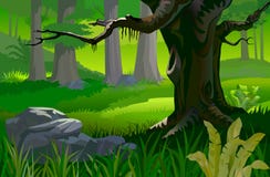 Tree In A Tropical Forest Royalty Free Stock Photos Tree In A Tropical Forest Royalty Free Stock Photos