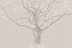 Tree In The Winter Royalty Free Stock Photography Tree In The Winter Royalty Free Stock Photography