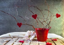 Tree Lovers Still Life Red Hearts Stock Photo Tree Lovers Still Life Red Hearts Stock Photo
