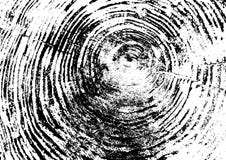 Tree ring, log, wood texture. Black and white. Vector illustration EPS 10 isolated on white background vector illustration Tree ring, log, wood texture. Black and white. Vector illustration EPS 10 isolated on white background vector illustration