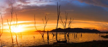 The tree , sun, cloud and water to be landscape. the mountain are background the lake. stock photos The tree , sun, cloud and water to be landscape. the mountain are background the lake. stock photos