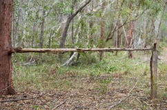Bush Fencing in Australia royalty free stock photo Bush Fencing in Australia royalty free stock photo