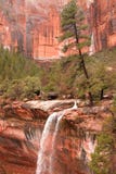 Tree Waterfall Royalty Free Stock Photo Tree Waterfall Royalty Free Stock Photo