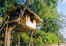 Simple life Treehouse beach resort thailand