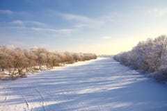 Trees In Hoarfrost In The Dark Blue Sky Stock Photos Trees In Hoarfrost In The Dark Blue Sky Stock Photos