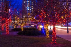 Trees On Street Decorated With Christmas Lights Royalty Free Stock Photos Trees On Street Decorated With Christmas Lights Royalty Free Stock Photos