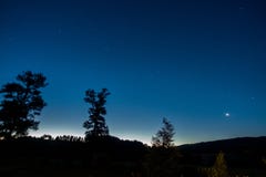 Trees and stars after sunset Stock Images Trees and stars after sunset Stock Images
