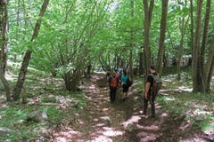 Sassano forest trek