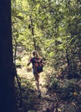 Trekking de femme dans la forêt images stock Trekking de femme dans la forêt images stock