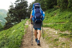 Trekking. Men with backpacks on mountain trek. Hiking trail. Path with two tourist through forest. Sport tourism. Hikers in way stock images Trekking. Men with backpacks on mountain trek. Hiking trail. Path with two tourist through forest. Sport tourism. Hikers in way stock images
