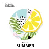 Trendy tropic and lemon background.Vector illustration Stock Images Trendy tropic and lemon background.Vector illustration Stock Images