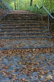 Treppe im Wald mit braunem und gelbem Herbstblatt Lizenzfreie Stockbilder Treppe im Wald mit braunem und gelbem Herbstblatt Lizenzfreie Stockbilder