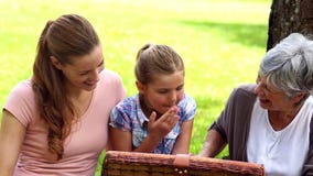 Tres generaciones de mujeres que tienen una comida campestre almacen de metraje de vídeo Tres generaciones de mujeres que tienen una comida campestre almacen de metraje de vídeo