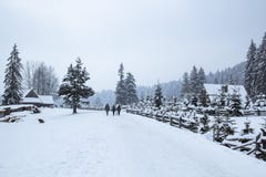 Tres personas y perros que caminan en el camino nevoso del invierno en la niebla, pino a fotos de archivo libres de regalías Tres personas y perros que caminan en el camino nevoso del invierno en la niebla, pino a fotos de archivo libres de regalías