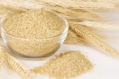 Trigo y wheatgerm Trigo y wheatgerm